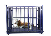 Dynamic ODM 100Kg Weighing Scale For Live Pigs