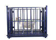LCD OIML Cattle Weighing Scales Anti Corrosion With Locks