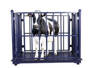 Electronic KELI 5000KG Cattle Weighing Systems Carbon Steel
