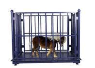 LED OEM Cattle Weighing Scales Industrial Blue For Farm