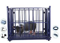 3000Kg Portable Cattle Scales , RS232 Electronic Sheep Scales