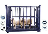 OEM 5 Ton Cattle Weight Machine Flushable platform For Farms