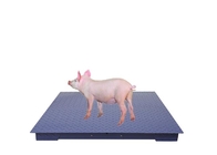 Carbon Steel Plate Heavy Duty Industrial Weighing Scales With Adjustable Foot