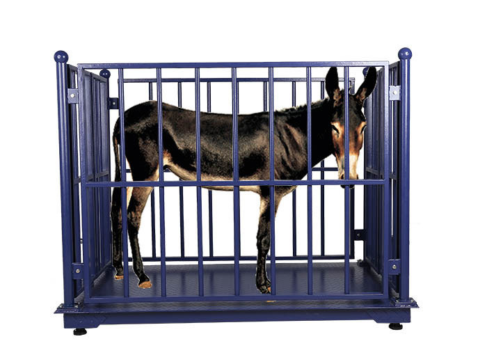 portable livestock scales for sale