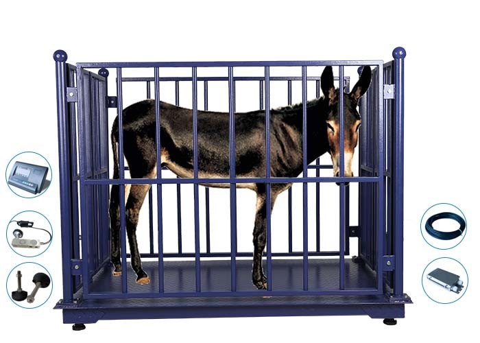 Digital Zemic LCD Cattle Weighing Scales Stainless Steel