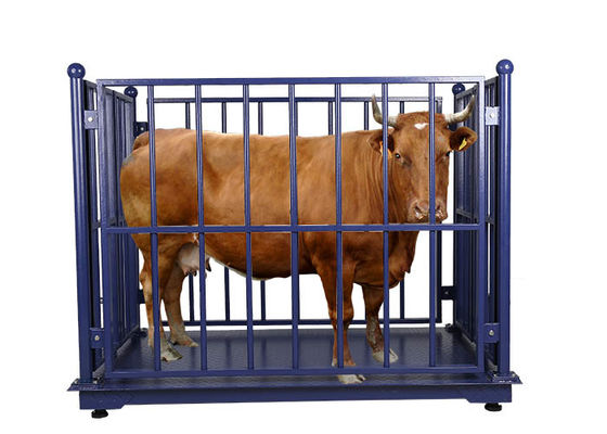 Anti Rust 3000KG Digital Livestock Scales With Fence