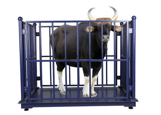 LCD OIML Cattle Weighing Scales Anti Corrosion With Locks