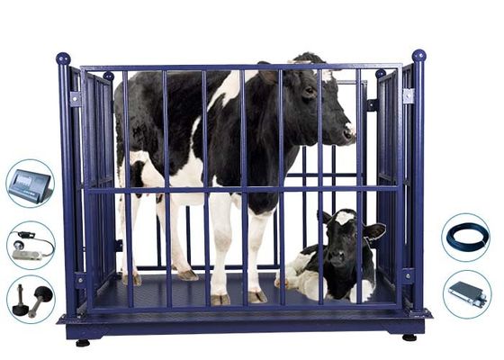 Vet LED KELI Electronic Cattle Weighing Scales Bluetooth